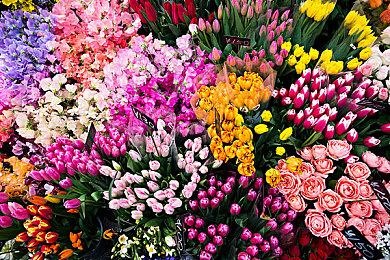 3D横板叙事恐怖游戏《过阴》Steam页面上线 试玩Demo开发中